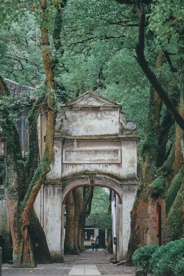 湖州市的湖叫什么，湖州市的湖叫什么 新闻（中间还有一个最美的湖州）