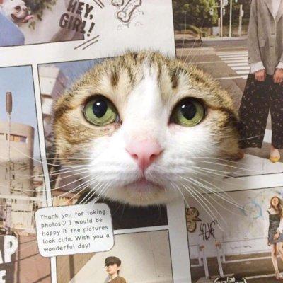 逗比头像，搞笑情头！！微信，逗比头像，搞笑情头！！（2019搞笑一左一右动物情侣微信头像）