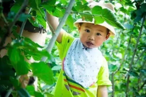 干桑葚怎么吃(桑葚——你还没听说过的“干”吃法) 干桑葚怎么吃(桑葚——你还没听说过的“干”吃法)