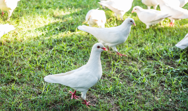 谈谈何谓批判性思维，如何培养自己的批判性思维