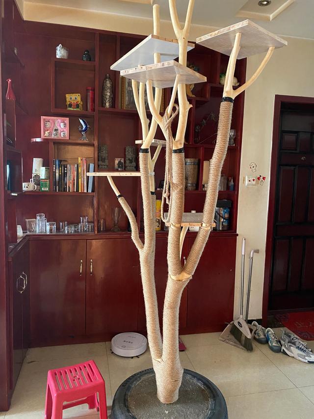 如何制作简单的猫爬架,简单的猫爬架制作教程(手工制作猫爬架)