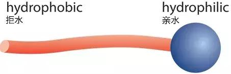 白板用了油性笔擦不掉怎么办,油性笔写在白板上怎么才能擦掉(焦黑锅底、脏鞋底、残胶、陈年污垢……用它一擦全干净了) 白板用了油性笔擦不掉怎么办,油性笔写在白板上怎么才能擦掉(焦黑锅底、脏鞋底、残胶、陈年污垢……用它一擦全干净了)