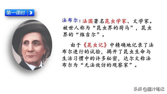 蟋蟀的住宅指的是什么，蟋蟀的住宅 是指什么（第三单元《蟋蟀的住宅》课文讲析）