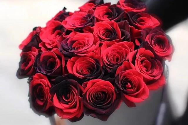 各种玫瑰花的含义，各色的玫瑰花有什么含意（一篇文章认全花店必备80种玫瑰花）
