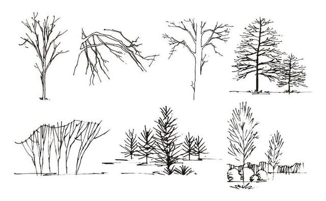 超简单风景速写入门初学者，适合初学者学习的速写中植物配景的画法图解教程