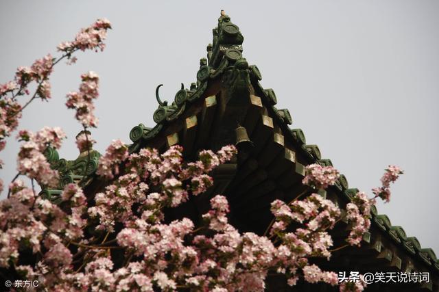求辛弃疾的豪放词，辛弃疾最豪放的一首词（南宋词侠辛弃疾3首气壮山河的豪放词）