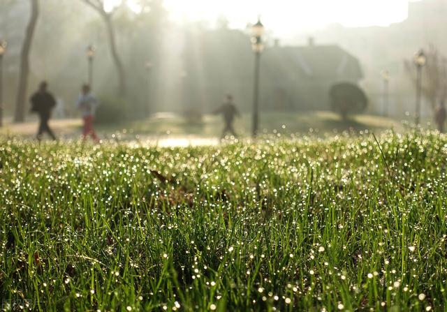 九月初三是什么节日，九月十六是什么节日（天气：今天是“寒露”节气）