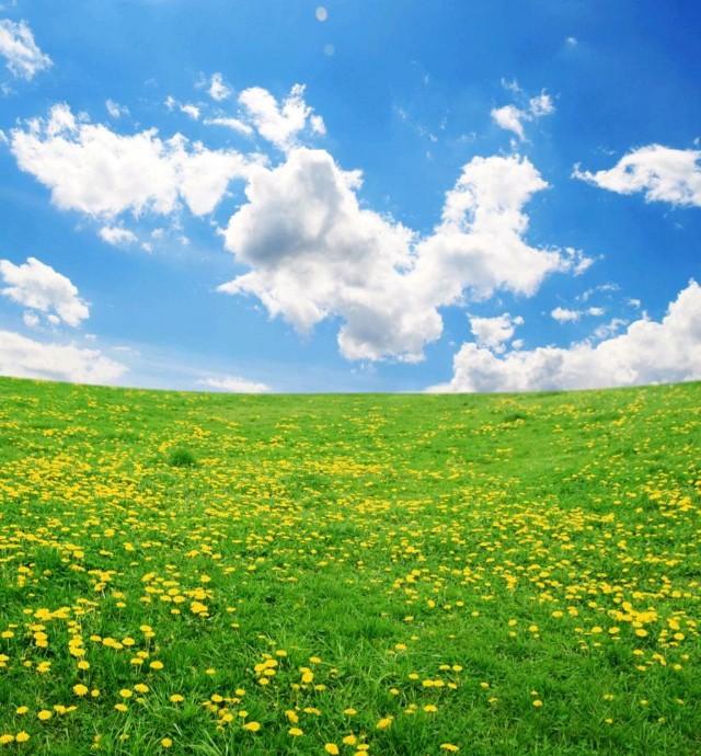 云想衣裳花想容是什么意思，云想衣裳花想容（云想衣裳花想艳）