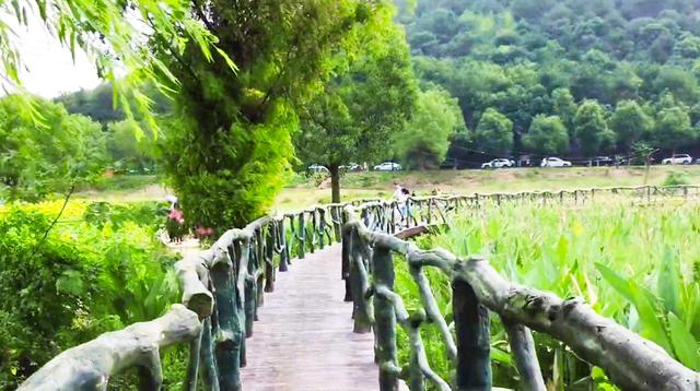 武汉森林公园在哪里，武汉森林公园地址查询（十月游武汉森林公园绿道）