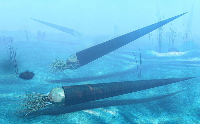 软体动物和无脊椎动物区别，软体动物和无脊椎动物区别在哪（4.4亿年前竟是海洋霸主）