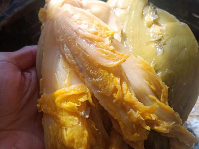 咸菜是什么菜做的，咸菜怎么做的（这9种蔬菜腌好后）