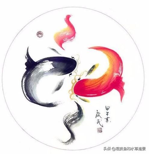 家里养几条鱼最吉利，客厅养几条鱼吉利（玄学答案、无脑答案和实践答案）