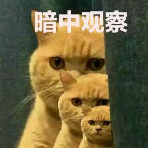 如何修改微信昵称，微信如何修改昵称（你就是朋友圈最靓的仔）