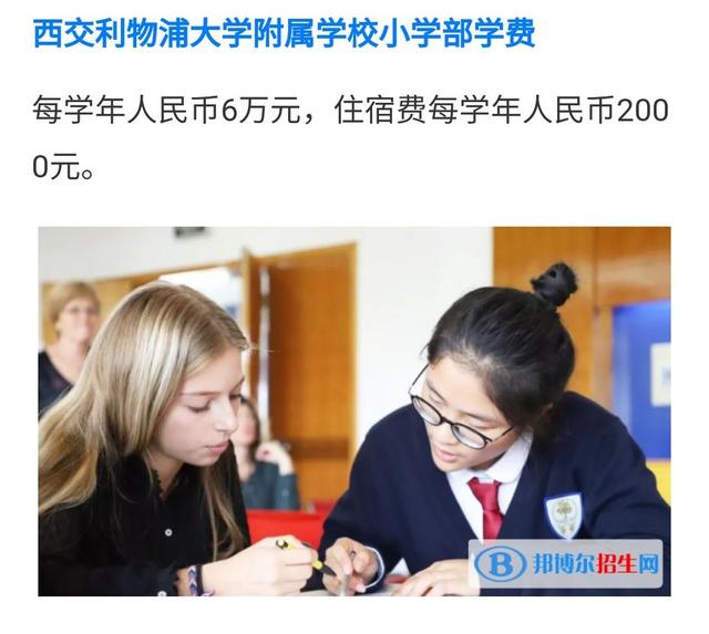 苏州市有哪些发展较好的民办学校，苏州最好的民办学校（年薪二十万就可以上的私立学校。）