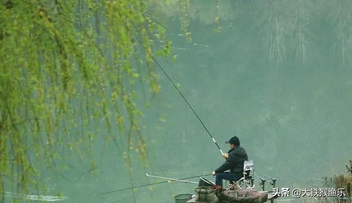 用玉米钓草鱼应选择钓底还是钓浮？实战技巧与水层选择全解析