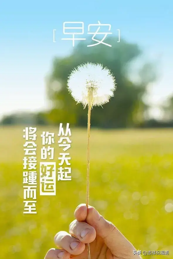 神仙滤镜+背景图  顺其自然 随遇而安 世界并非如你所愿.，神仙滤镜风景图片（所以顺其自然；因为心无所恃）