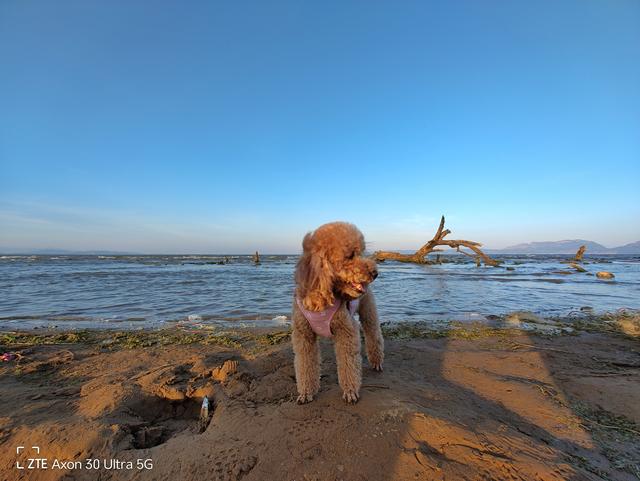 手机拍月亮参数，能拍月亮的手机有哪些（用手机这样拍出高级感创意月亮照片）