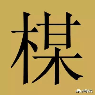 梅什麼意思解釋,梅字筆畫筆順(梅姓氏的漢字演變和家族來源過程荀卿庠