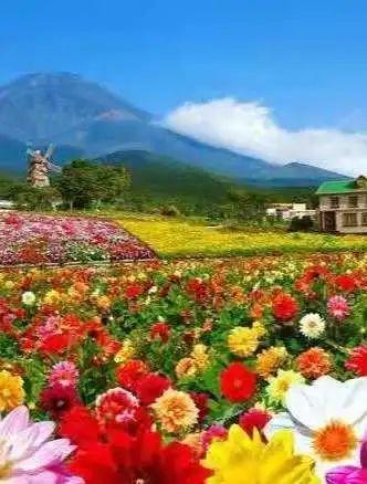 上关花下关风苍山雪洱海月是什么意思，上关风下关花苍山雪洱海月下一句（即“下关风、上关花、苍山雪、洱海月”）