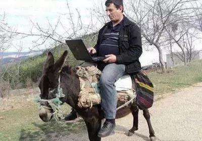 民间歇后语900句，记住100条歇后语