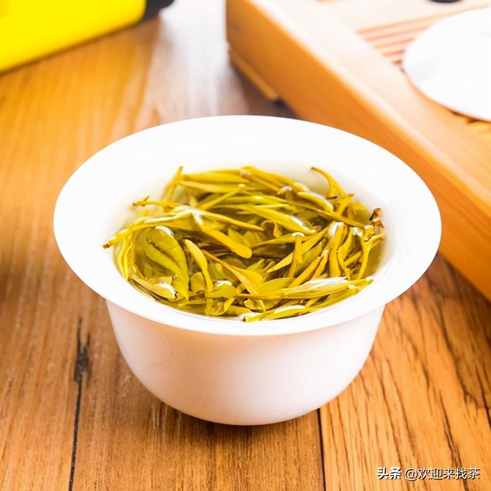 黄金芽属于什么茶(详解黄金芽茶档次和价格) 黄金芽属于什么茶(详解黄金芽茶档次和价格)