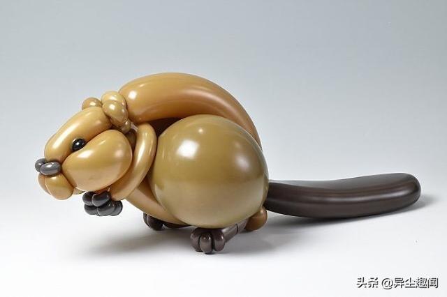 用气球做小动物教程，教你用气球做小狗的方法（日本艺术家用气球制作了令人难以置信的动物模型）