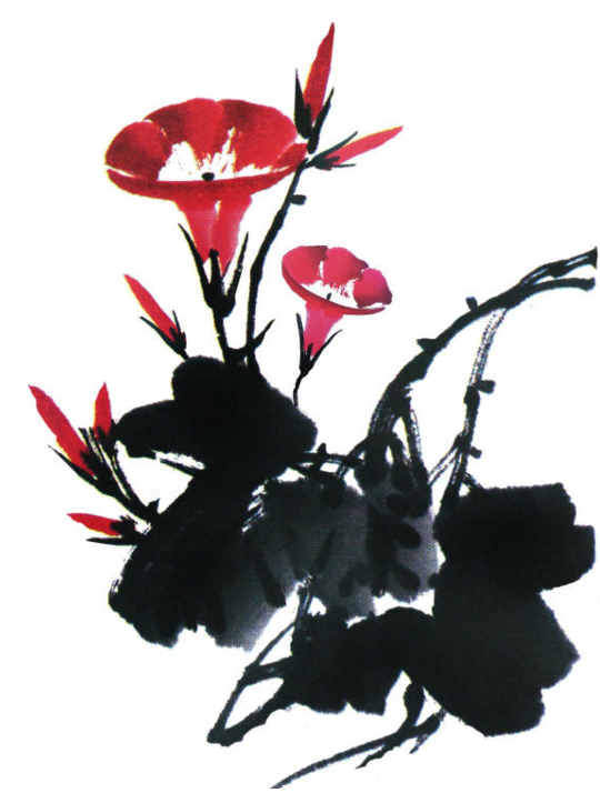 画仙人掌注意什么，画仙人掌步骤（仙人掌、牵牛花的基础画法）