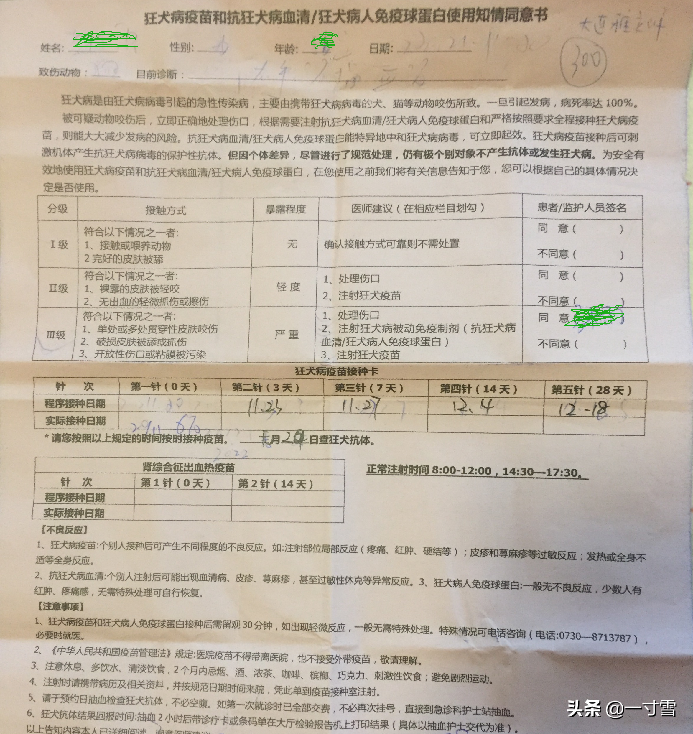 给狗狗打针要多少钱 给狗狗取名字带财运