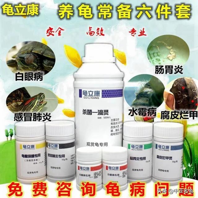 乌龟一般吃什么，家养的小乌龟一般吃什么（最全面的新手养龟攻略）