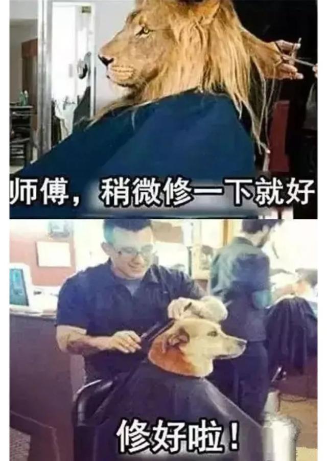 理发师tony是什么梗，理发店的tony是什么梗（为啥叫理发师“Tony老师”）