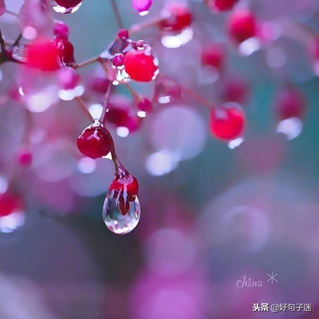 发朋友圈招聘短语，发朋友圈招聘短语有哪些（温暖别人的朋友圈说说心情短语）