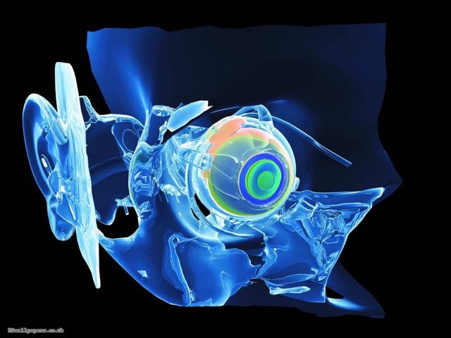 盘点那些精美的壁纸,分享10个精美壁纸 盘点那些精美的壁纸,分享10个精美壁纸