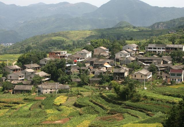 农村耕地一亩地补偿多少钱，2021农村耕地一亩地补偿多少钱（农民可自愿退出宅基地）