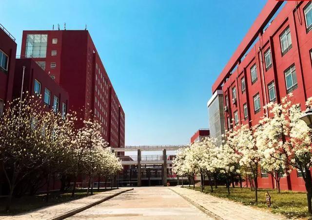 山东师范大学是211或985，山东师范大学是985还是211大学（山东这两所“双非院校”）