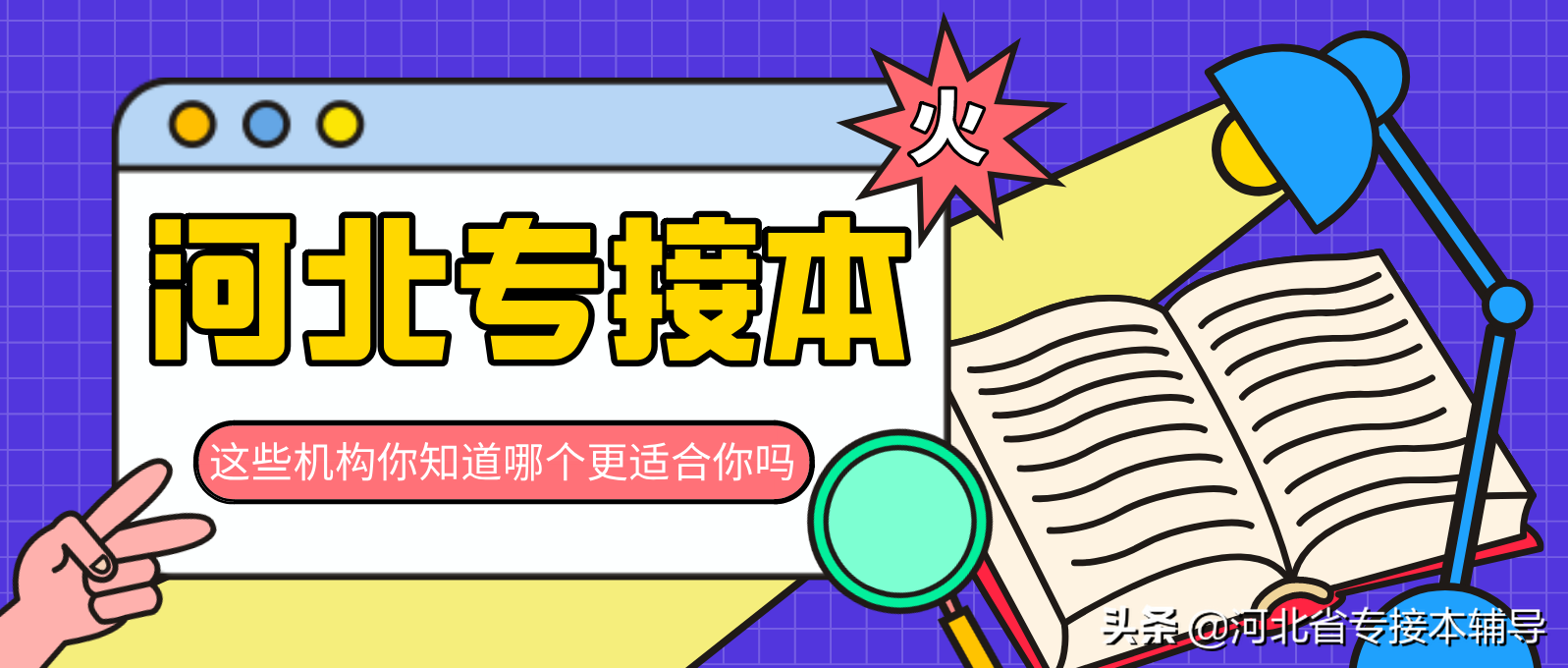 河北工商管理专修学院（河北省专接本机构哪个好）