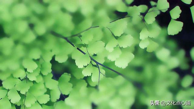 留恋不舍的句子，对一个地方留恋不舍的句子（十首深情唯美相思词）