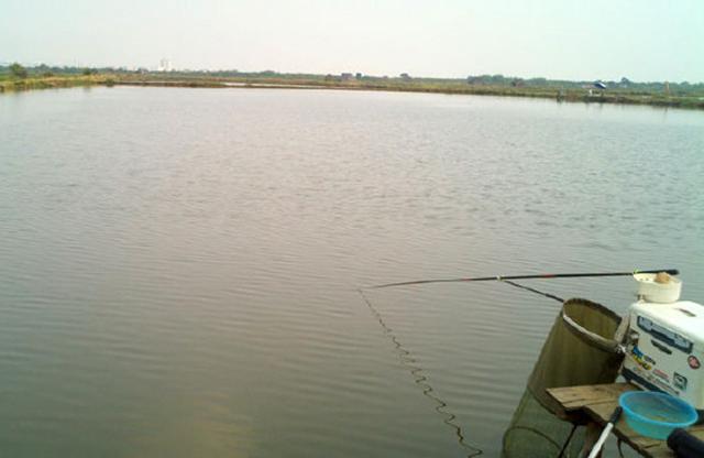 乌头鱼，力道十足的“乌头鱼”该如何垂钓（乌头鱼图片）