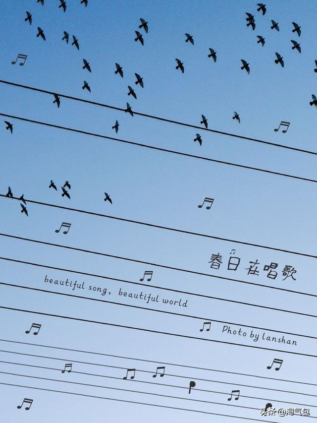 12个月都有什么情人节，二月没过情人节的今天补上