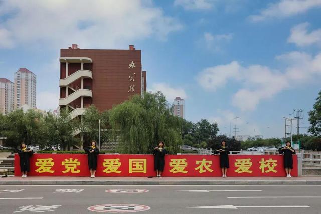 天津农学院是几本，天津农业学院是几本的（天津市普通高等院校）