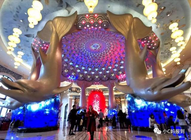 珠海长隆游玩攻略，珠海长隆游玩攻略图（带娃去珠海长隆该怎么玩）