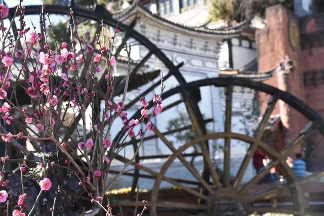 大理到丽江怎么走,大理怎么去丽江(“昆楚大丽”十一怎么玩?看这) 大理到丽江怎么走,大理怎么去丽江(“昆楚大丽”十一怎么玩?看这)