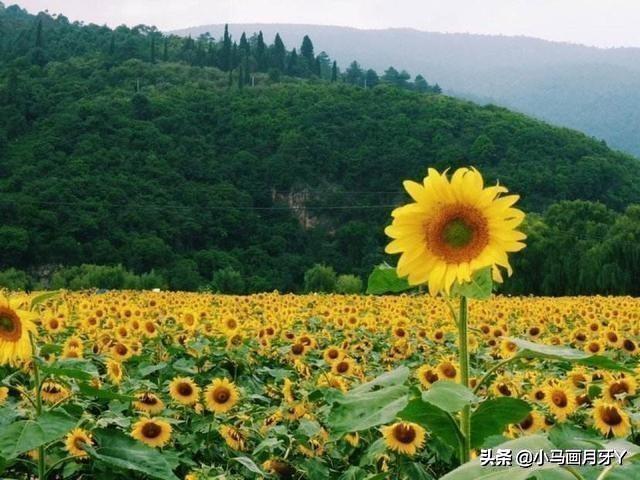 迨怎么读什么意思，谁能告诉我这些字怎么读?