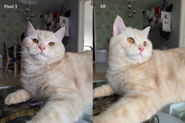 苹果xr详细参数，苹果xr参数详细参数配置（XR“香度”测评：半年过去了）