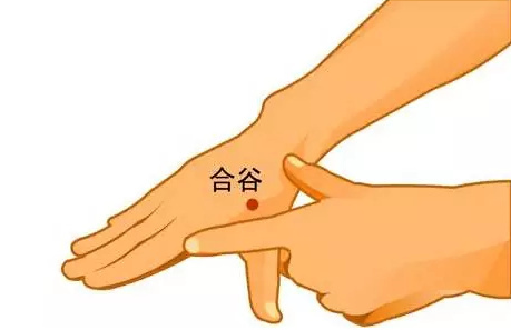 合谷曲池穴在哪里，祛病养生无非就这10个穴位