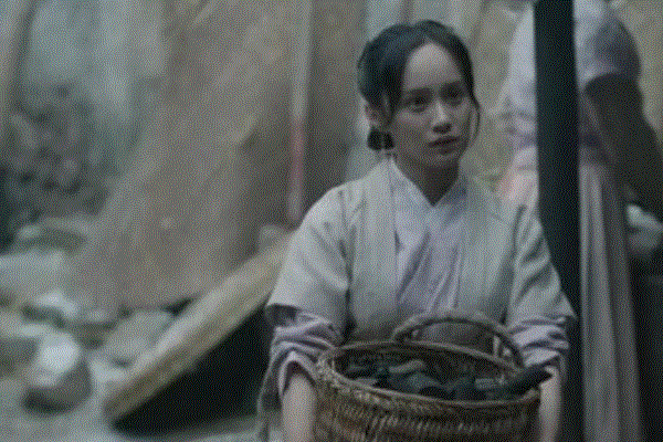 廖心雨的扮演者，廖心雨谁扮演的（细数明兰身边的丫鬟们）