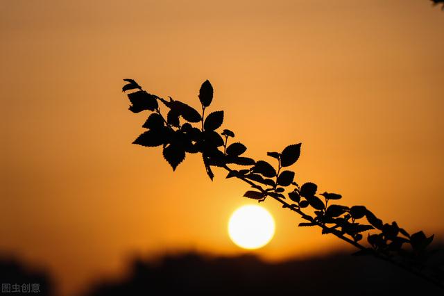 超好看文案图片，超好看文案图片伤感（适合日常分享配图）