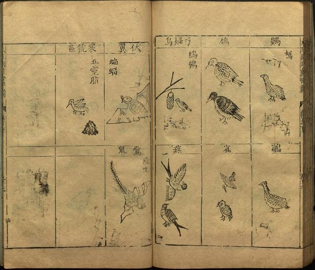 本草纲目全书带图，李时珍本草纲目全书（李时珍著《本草纲目》附图卷）
