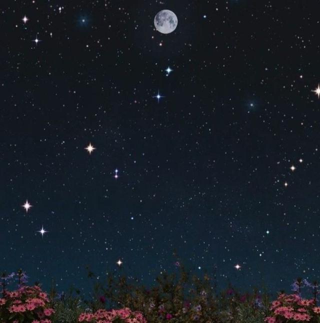 美好阳光且干净的女生头像  星空迷上了山野微信，美好阳光且干净的女生头像  星空迷上了山野，有雾有灯也有归人。（有哪些好看非人物的头像）