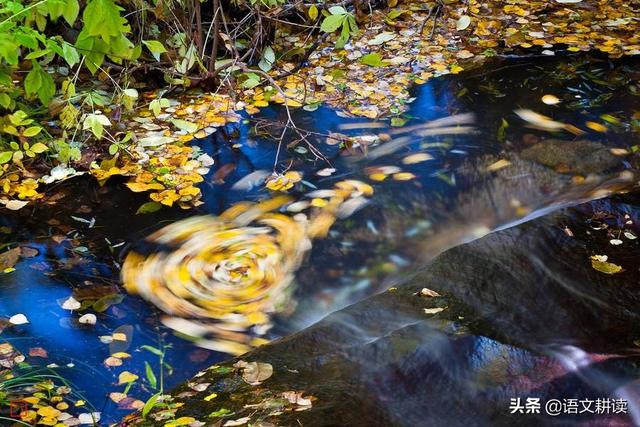 水尤清冽的冽是什么意思，水尤清洌的清冽的意思（部编版八年级下册《小石潭记》中考考点汇编）