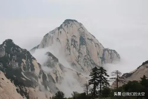 槑中文什么意思，槑、鱻、嫑……会念哪个都服你
